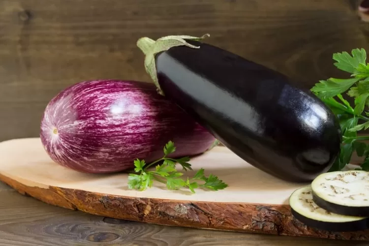 4 Manfaat Kesehatan Terong, Tinggi Antioksidan Turunkan Gula Darah (Canva @puglia )